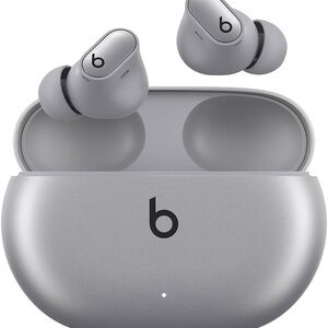 Beats by Dre True Wireless Earbuds in Silver Gray